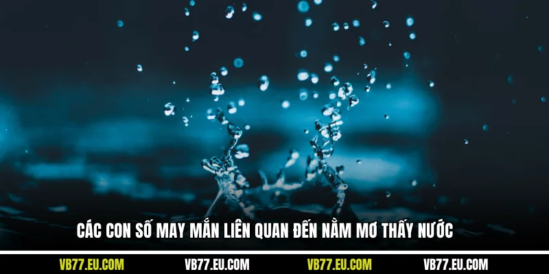 Các con số may mắn liên quan đến nằm mơ thấy nước