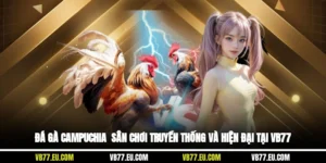 Đá Gà Campuchia - Sân Chơi Truyền Thống Và Hiện Đại Tại VB77