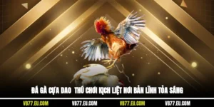 Đá Gà Cựa Dao - Thú Chơi Kịch Liệt, Nơi Bản Lĩnh Tỏa Sáng