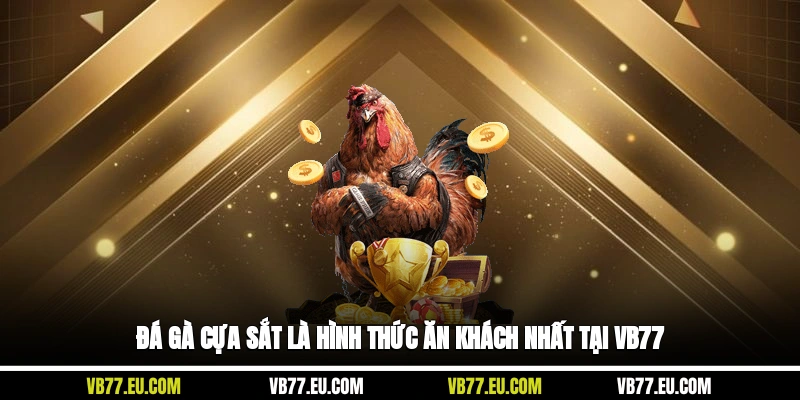 Đá gà cựa sắt là hình thức ăn khách nhất tại VB77