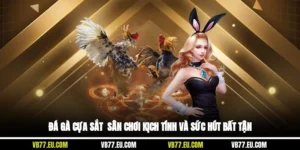 Đá Gà Cựa Sắt - Sân Chơi Kịch Tính Và Sức Hút Bất Tận