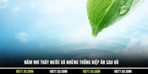 Nằm Mơ Thấy Nước Và Những Thông Điệp Ẩn Sau Đó