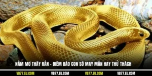 Nằm Mơ Thấy Rắn - Điềm Báo Con Số May Mắn Hay Thử Thách