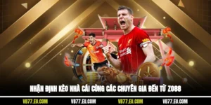 Nhận Định Kèo Nhà Cái Cùng Các Chuyên Gia Đến Từ Zo88