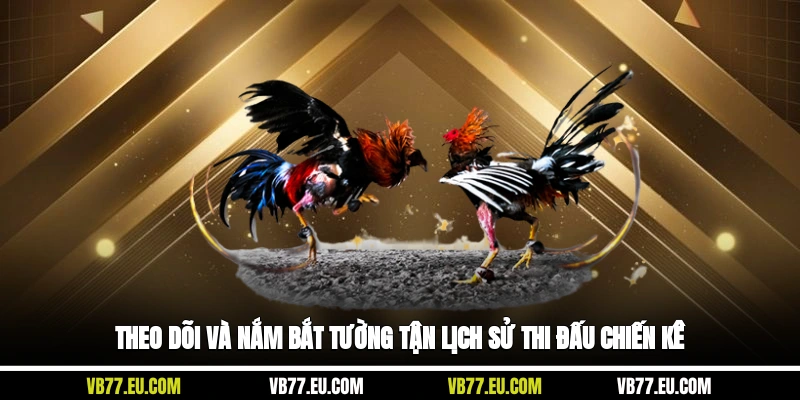 Theo dõi và nắm bắt tường tận lịch sử thi đấu chiến kê